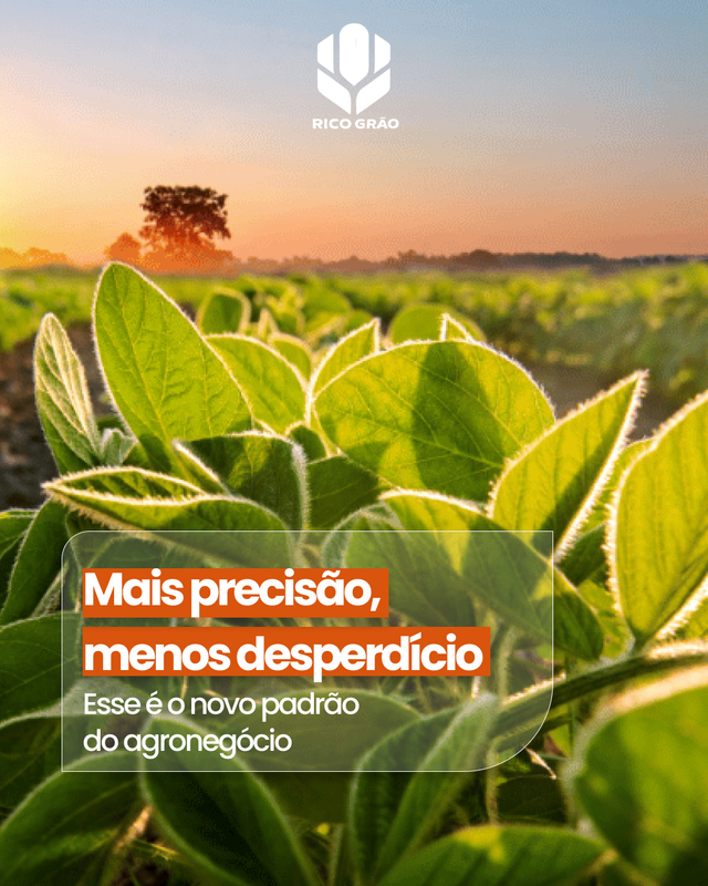 Peça para Instagram da marca Rico Grão, do agronegócio
